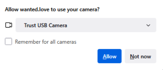 Screenshot: Allow camera access in browser