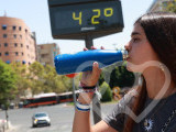 Identificación fotográfica]