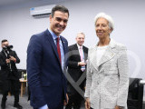 Identificación fotográfica]
