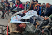 Identificación fotográfica]