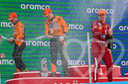 Identificación fotográfica]
