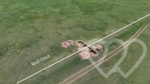 Identificación fotográfica]