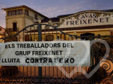 Identificación fotográfica]
