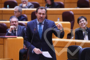 Identificación fotográfica]