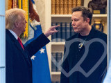 Identificación fotográfica]