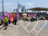 Identificación fotográfica]