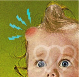 Identificación fotográfica]