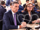 Identificación fotográfica]