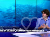 Photo d\'identité]