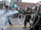 Identificación fotográfica]