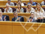 Identificación fotográfica]