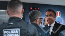 Identificación fotográfica]