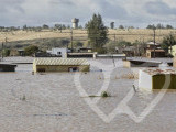 Photo d\'identité]