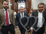 Identificación fotográfica]