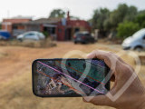 Identificación fotográfica]