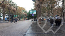 Identificación fotográfica]