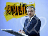 Identificación fotográfica]