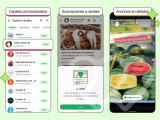 Identificación fotográfica]