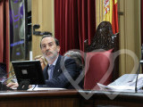 Identificación fotográfica]