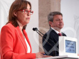 Identificación fotográfica]