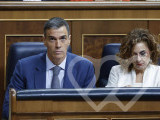 Identificación fotográfica]