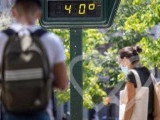 Identificación fotográfica]