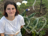 Identificación fotográfica]