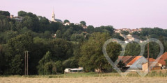 Photo d\'identité]