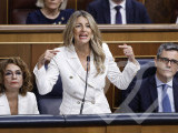 Identificación fotográfica]