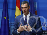 Identificación fotográfica]