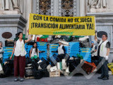 Identificación fotográfica]
