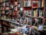 Photo d\'identité]