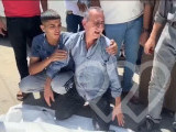Identificación fotográfica]