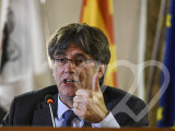 Identificación fotográfica]