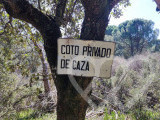 Identificación fotográfica]
