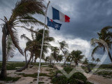 Photo d\'identité]