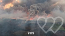 Identificación fotográfica]