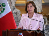 Identificación fotográfica]