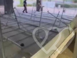 Identificación fotográfica]