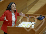 Identificación fotográfica]