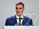 Identificación fotográfica]