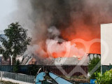 Identificación fotográfica]