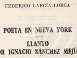 Identificación fotográfica]
