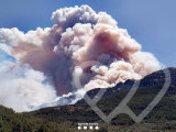 Identificación fotográfica]