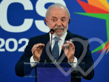 Identificación fotográfica]