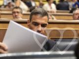 Identificación fotográfica]