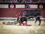 Identificación fotográfica]
