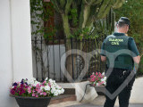 Identificación fotográfica]