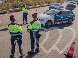Identificación fotográfica]