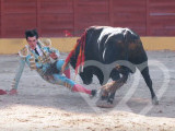 Identificación fotográfica]